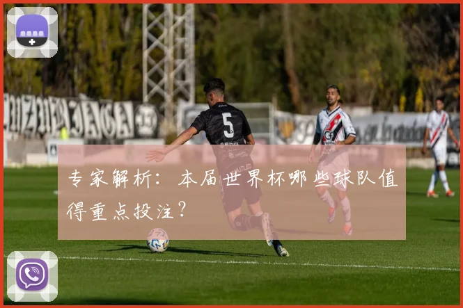 专家解析:本届世界杯哪些球队值得重点投注?