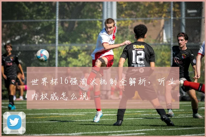 世界杯16强淘汰机制全解析，听业内权威怎么说