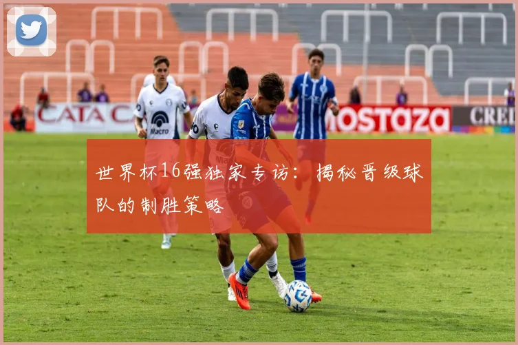 世界杯16强独家专访：揭秘晋级球队的制胜策略