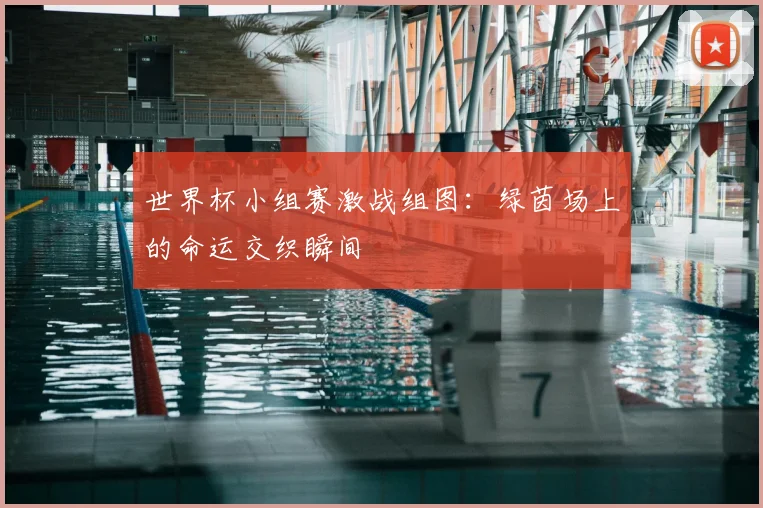 世界杯小组赛激战组图：绿茵场上的命运交织瞬间