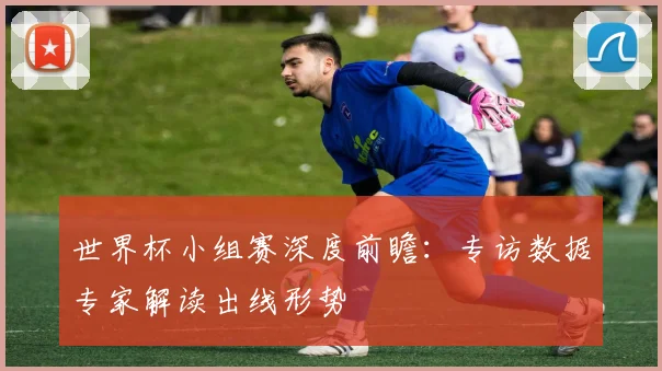 世界杯小组赛深度前瞻：专访数据专家解读出线形势