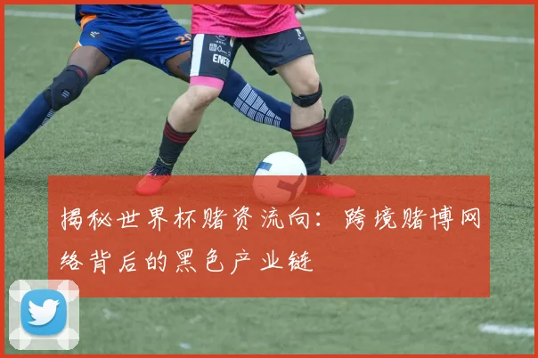 揭秘世界杯赌资流向：跨境赌博网络背后的黑色产业链