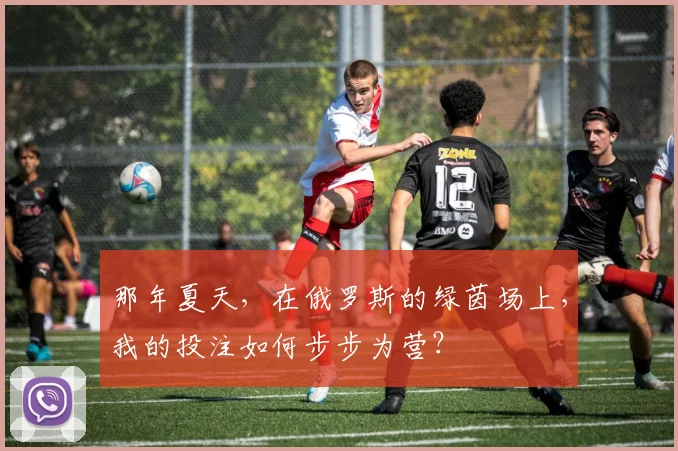 那年夏天，在俄罗斯的绿茵场上，我的投注如何步步为营？